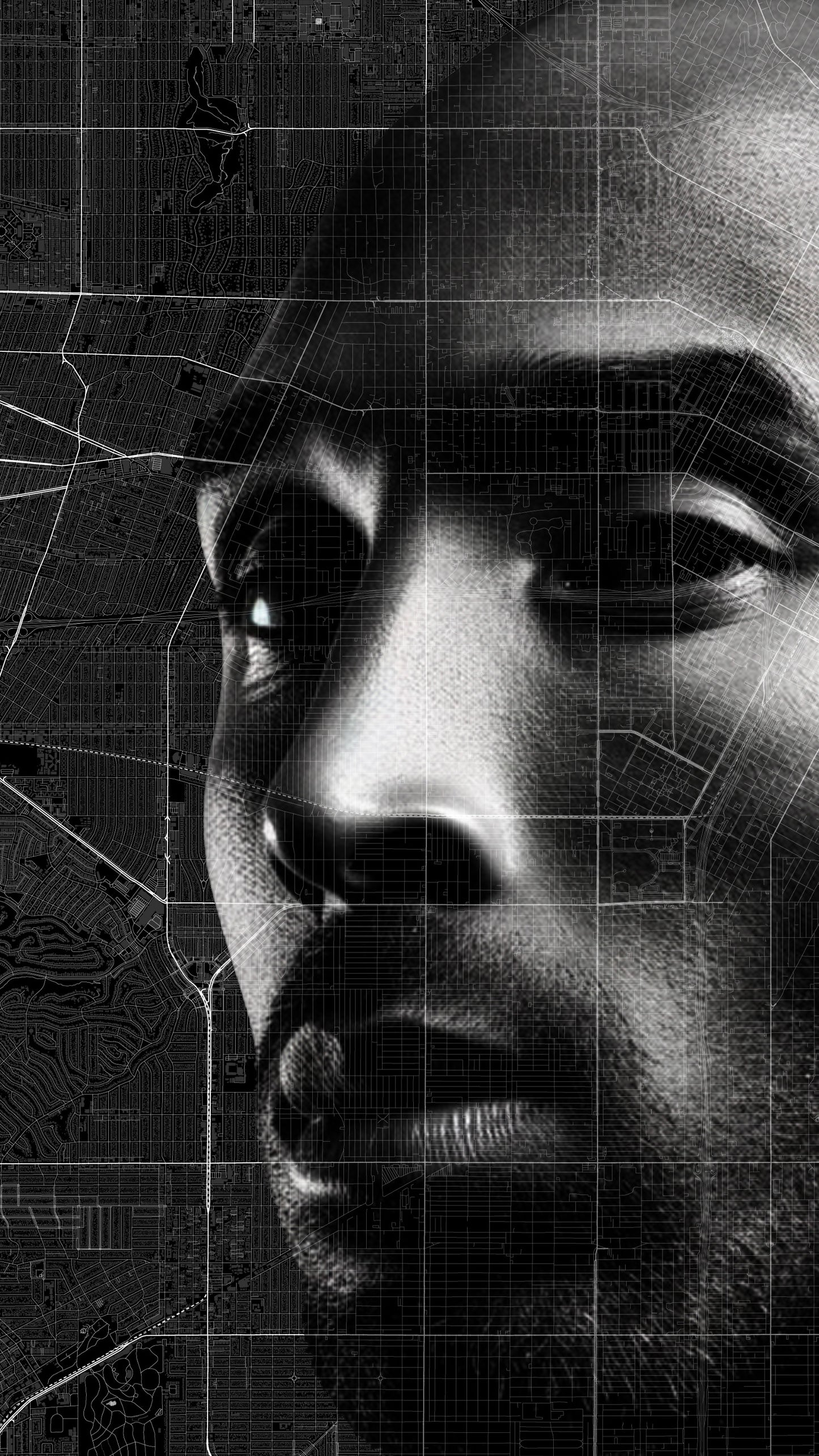 Tribute of BLACK MAMBA x L.A.